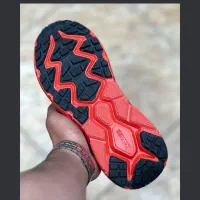 کتانی اورجتنال