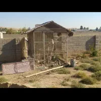 قفس،پرنده،حیوانات خانگی