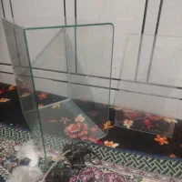 اکواریوم‌ شیشه خم|ماهی|اهواز, گلدشت|دیوار