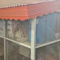 قفس ..مناسب برای پرنده یا حیوانات|لوازم جانبی حیوانات|چادگان, |دیوار