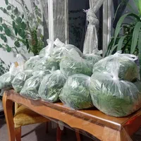 دلمه برگ مو با گوشت گرم گوسفندی با بالاترین کیفیت|خوردنی و آشامیدنی|شیراز, معالی‌آباد|دیوار