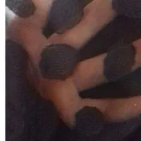 چند قواره پارچه چادری ولباس|لباس|تهران, ونک|دیوار