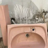 روشور سالم صورتی