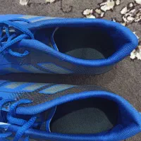 کفش ورزشی|تجهیزات ورزشی|رشت, جانبازان|دیوار