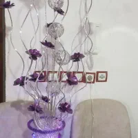 چراغ کنارسالنی