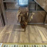 کوزه دکوری خاص