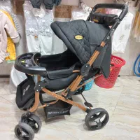 کالسکه دلیجان در حد