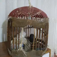 فروش وسایل|ساعت دیواری و تزئینی|مریوان, |دیوار