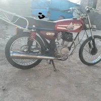 کفتر|پرنده|کرباسک, |دیوار