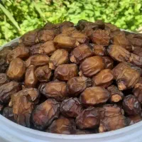 خرمای درجه یک با قیمت استثنایی|خوردنی و آشامیدنی|تهران, اختیاریه|دیوار