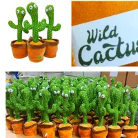 کاکتوس اورجینال اصلی فارسی خوان