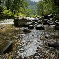 گردشگری|تور و چارتر|بابل, |دیوار