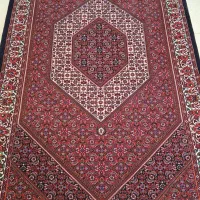 پنج متن ریز ماهی