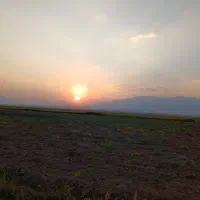 تدریس. ومشاوره