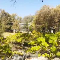 باغ فروشی بهمن|فروش دفتر صنعتی، کشاورزی، تجاری|آباده, |دیوار