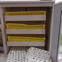 دستگاه جوجه کشی