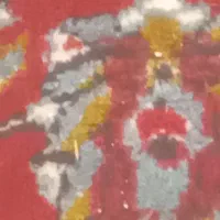 اجتماعی