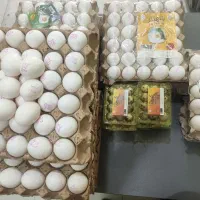 پخش عمده تخم مرغ کارتنی