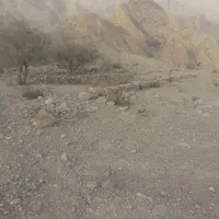 زمین روستای بهرغ