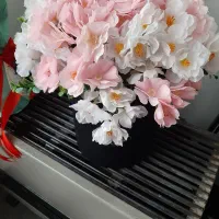 گلهای نو برای روز زن|گل مصنوعی|ارومیه, |دیوار