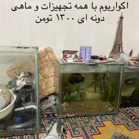 اکواریوم
