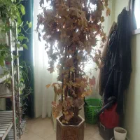 گل مصنوعی