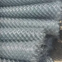 فنس وتوری حصاری|خدمات باغبانی و درختکاری|اشتهارد, |دیوار