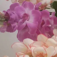 گل مصنوعی وگلدان|گل مصنوعی|شهریار, شهرک شاهد|دیوار