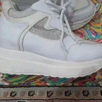 کفش اسپورت|کیف، کفش، کمربند|سقز, |دیوار