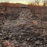 باغ|فروش زمین و ملک کلنگی|شیراز, کودیان|دیوار