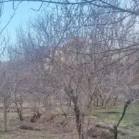 صبح زود کی میا طبیعت گردی