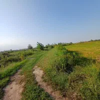 زمین کشاورزی