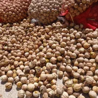 خریدار و فروش بادام به قیمت تجاری|عمدهفروشی|بن, |دیوار