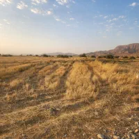 فروش-زمین-کشاورزی-ریکا