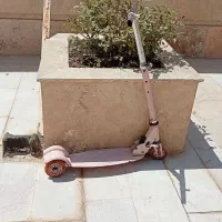 اسکوتر