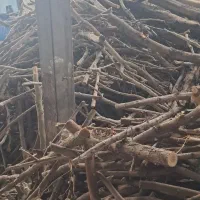 خریدار چوب|خدمات باغبانی و درختکاری|نظرآباد, شهرک سید جمال الدین|دیوار