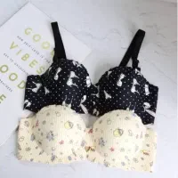 لباس زیر|لباس|نهاوند, |دیوار