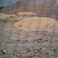 کاه گندم کوبیده شده