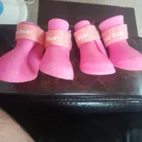 کفش سگ در حد نو|لوازم جانبی حیوانات|لاهیجان, رجایی|دیوار