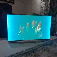 تلویزیون ۵۵ سامسونگ