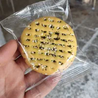 کلوچه خرمایی با کیفیتی ممتاز|عمده‌فروشی|شیراز, آبیاری|دیوار