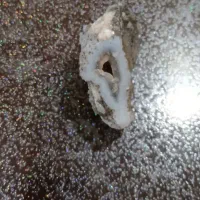 سنگ کوارتز