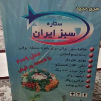 سبزی خرد کن|خردکن، آسیاب، غذاساز|تهران, جی|دیوار