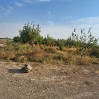 یک باب گاوداری ۳۵رسی گوشتی بفروش میرسد|فروش دفتر صنعتی، کشاورزی، تجاری|دشتابی, |دیوار