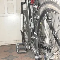 دوچرخه ویوا تایوانی