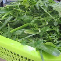 خورد کردن سبزی با دستگاه