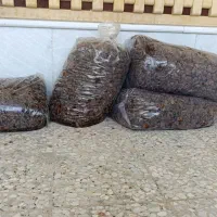 خرمای کبکاب|فعالیت داوطلبانه|وحدتیه, |دیوار