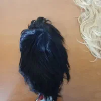 کلاه گیس بلوند و مشکی|آرایشی، بهداشتی، درمانی|سمنان, |دیوار