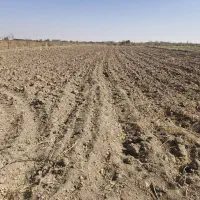 زمین کشاورزی