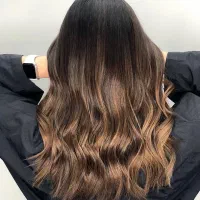 دستیار رنگ و لایت